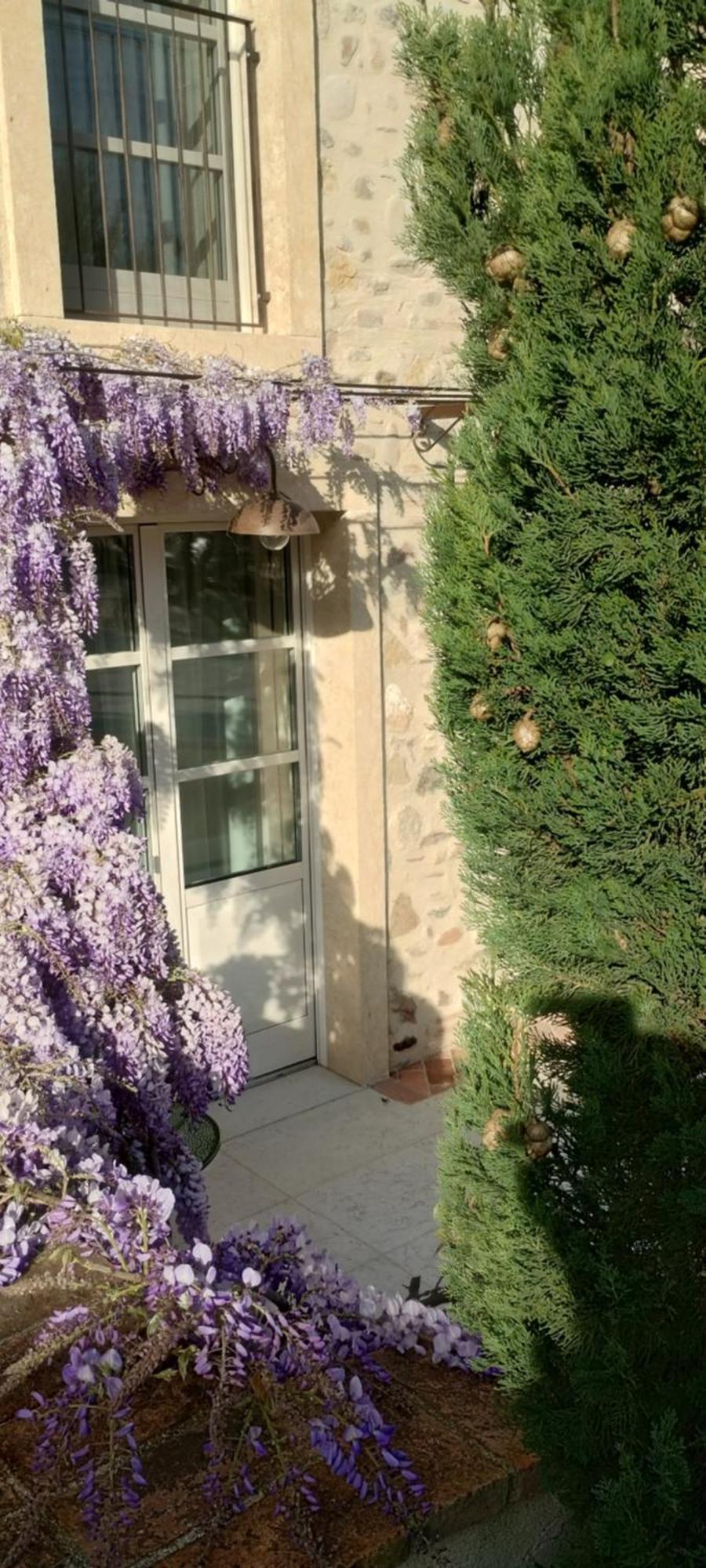Relais Ca' Morenica Валеджо-суль-Минчо Экстерьер фото