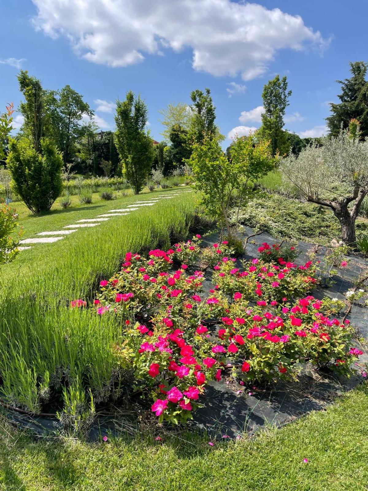 Relais Ca' Morenica Валеджо-суль-Минчо Экстерьер фото